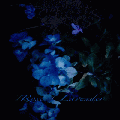 Sadness (USA) : Rose - Lavender